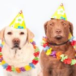 This is the cutest thing you’ll see all week …