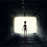 Alien Spotted on Highway During Morning Commute