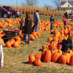 30 family fall festivals on Long Island