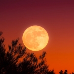 The sky is going to turn orange tonight