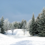 Where to go if you’re dreaming of a white Christmas