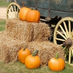The First Pumpkin Spice Product of the Year Just Hit Shelves