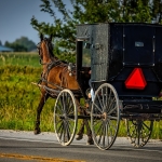 Guy Launches “Amish Uber” . . . Where He’ll Give You a Ride in a Horse and Buggy