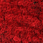 ABC Reveals the New Bachelor
