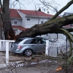 6 Clever Hurricane Survival Tips