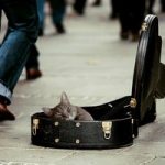 This Subway Performer Encourages Homeless to Take Money From His Donation Case